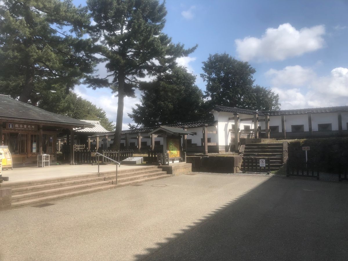 楽しかったぜよぜよ