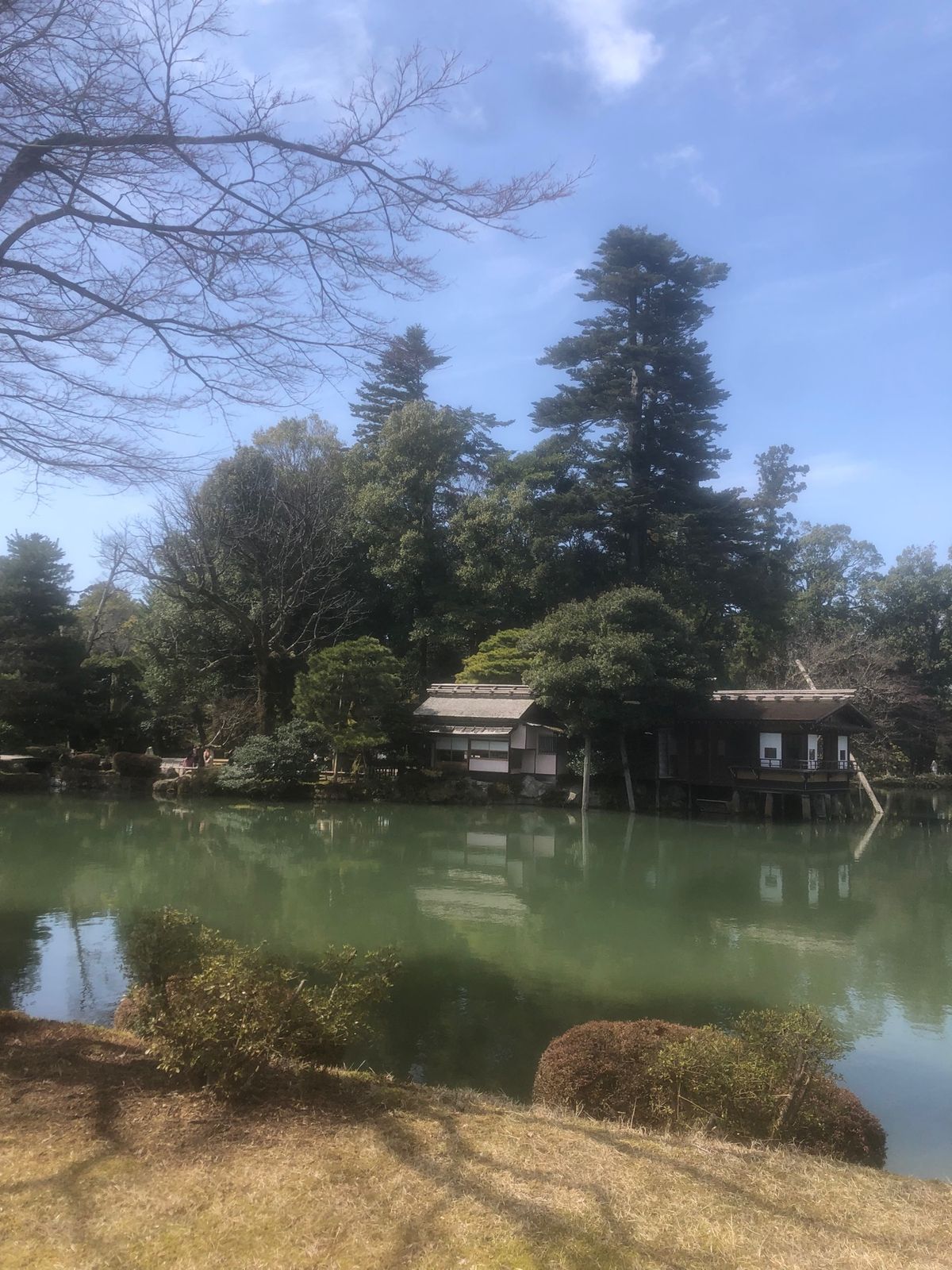 楽しかったぜよぜよ