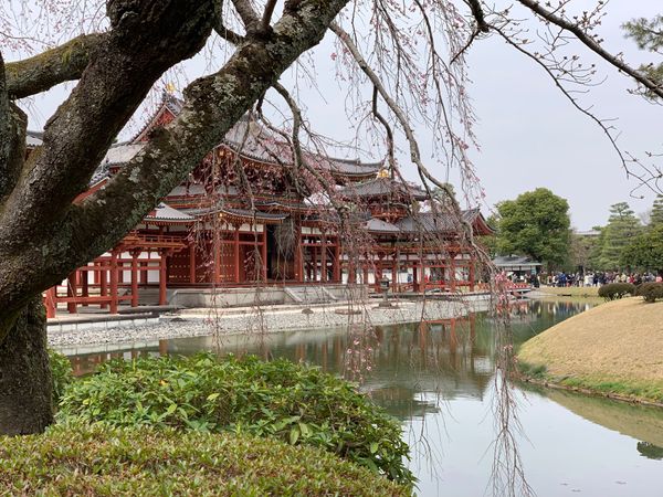 日本・京都府「京都」の写真