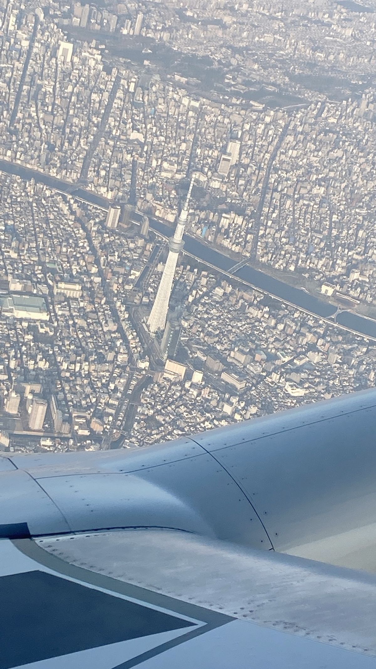 飛行機からの景色
原爆ドーム