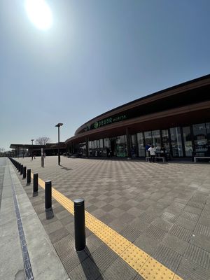 守谷サービスエリアの生姜焼き定食
前回ここで食べた生姜焼きが天下一だった
...