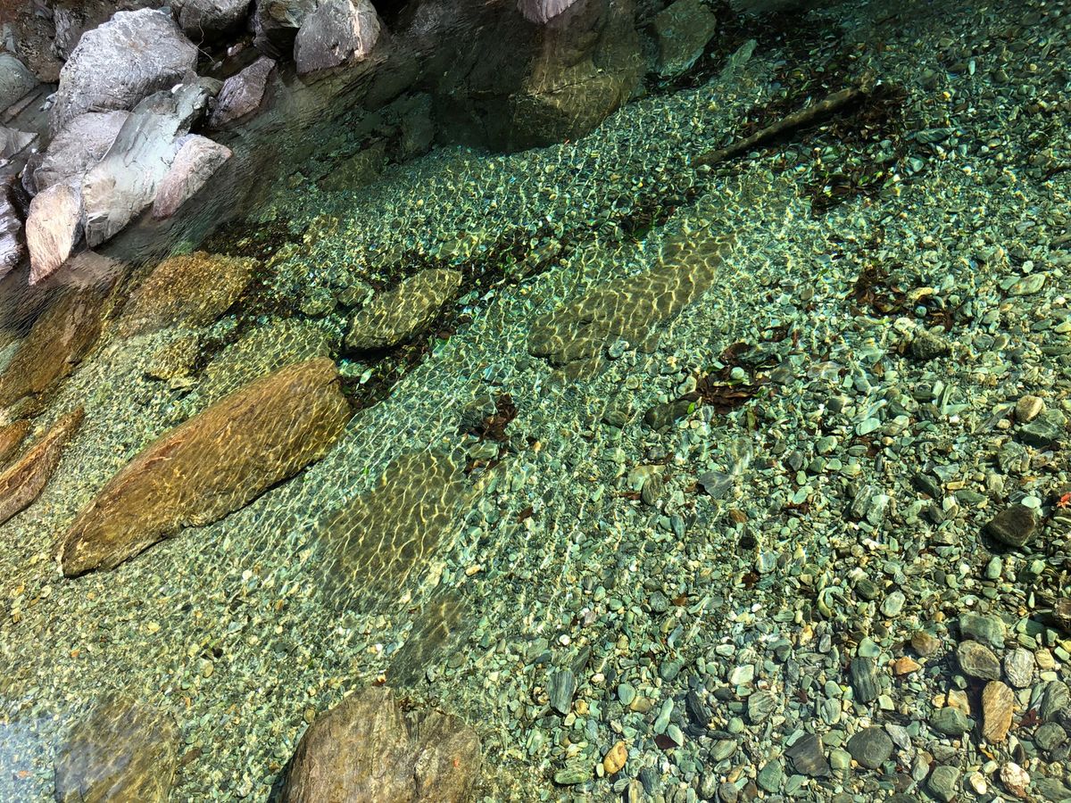 深く青い滝壺に思わず吸い込まれそうになる「にこ淵」。安居渓谷の流れる水の透...