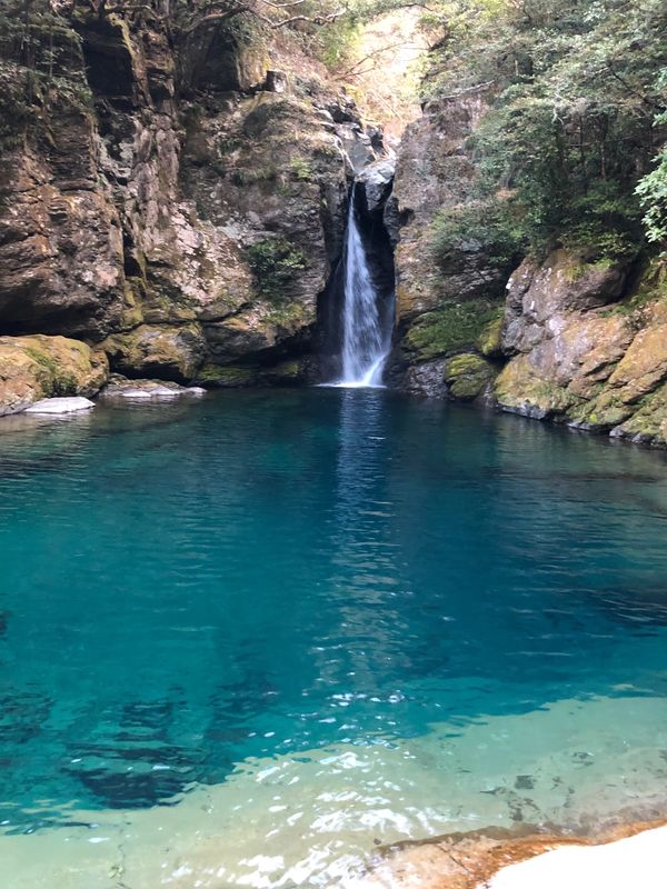 日本・高知県「ぶらり高知」の写真：深く青い滝壺に思わず吸い込まれそうになる...