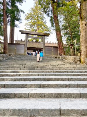 良い天気で、桜が咲いていました🌸