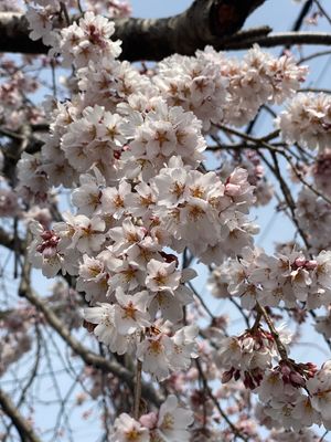 素敵な天気