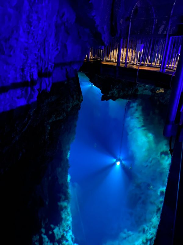 日本・岩手県「ぶらり岩手」の写真：龍泉洞から浄土ヶ浜に駆け足で移動して、花...