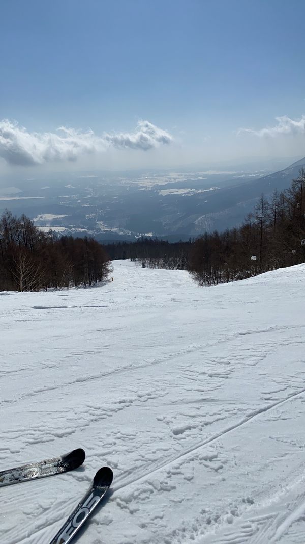 「妙高スキー」の写真