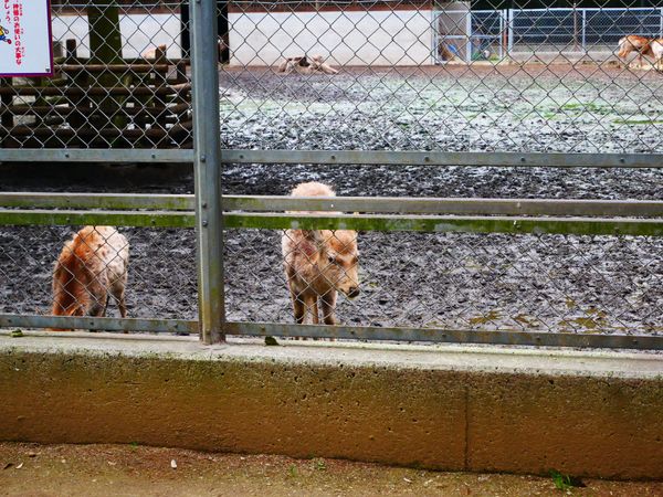 日本・茨城県「茨城 小旅行」の写真