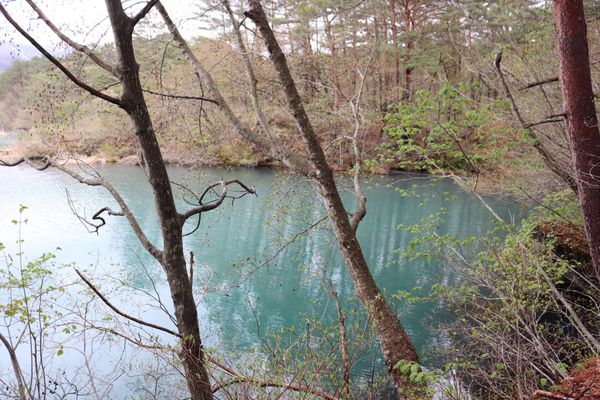 日本・福島県「ぶらり福島」の写真：五色沼の遊歩道を歩いて景色を楽しむ。少し...