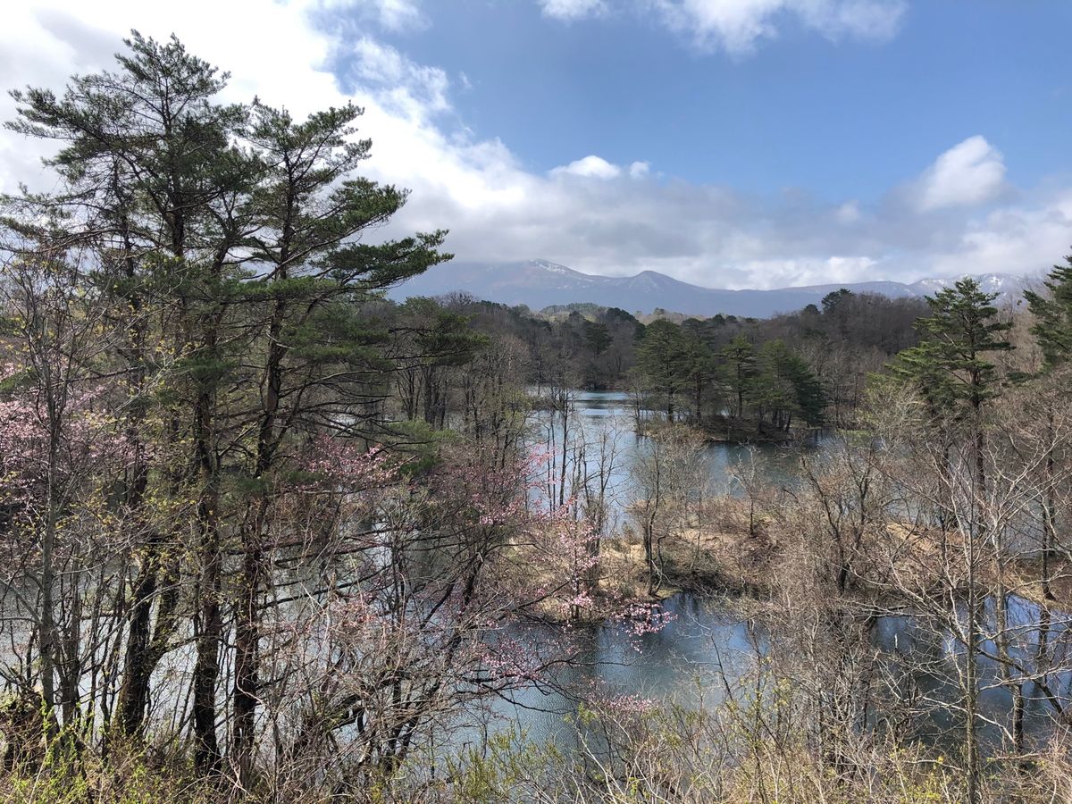 五色沼の遊歩道を歩いて景色を楽しむ。少し雲が出ていたので水の色は映えなかっ...