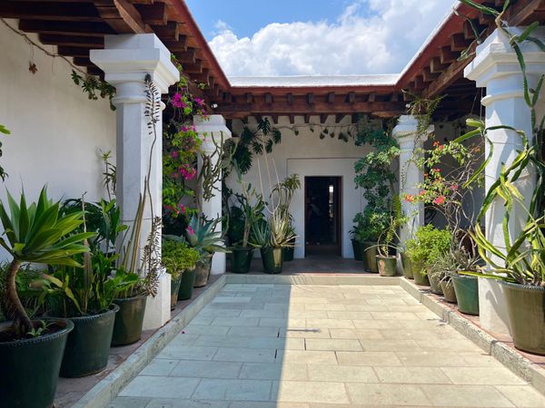 メキシコ・メキシコシティ「帰国後待機がなくなったのでついに海外旅行再開🙌」の写真：Instituto de Artes G...