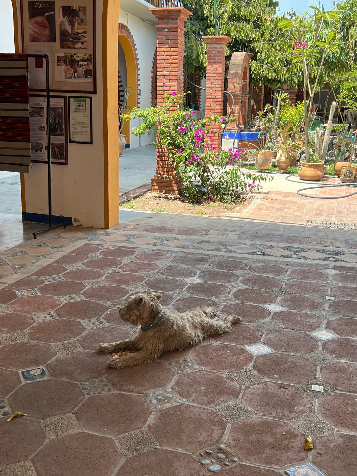 Isaac Vásquez Studio

なかなかデザインとサイズと値段...