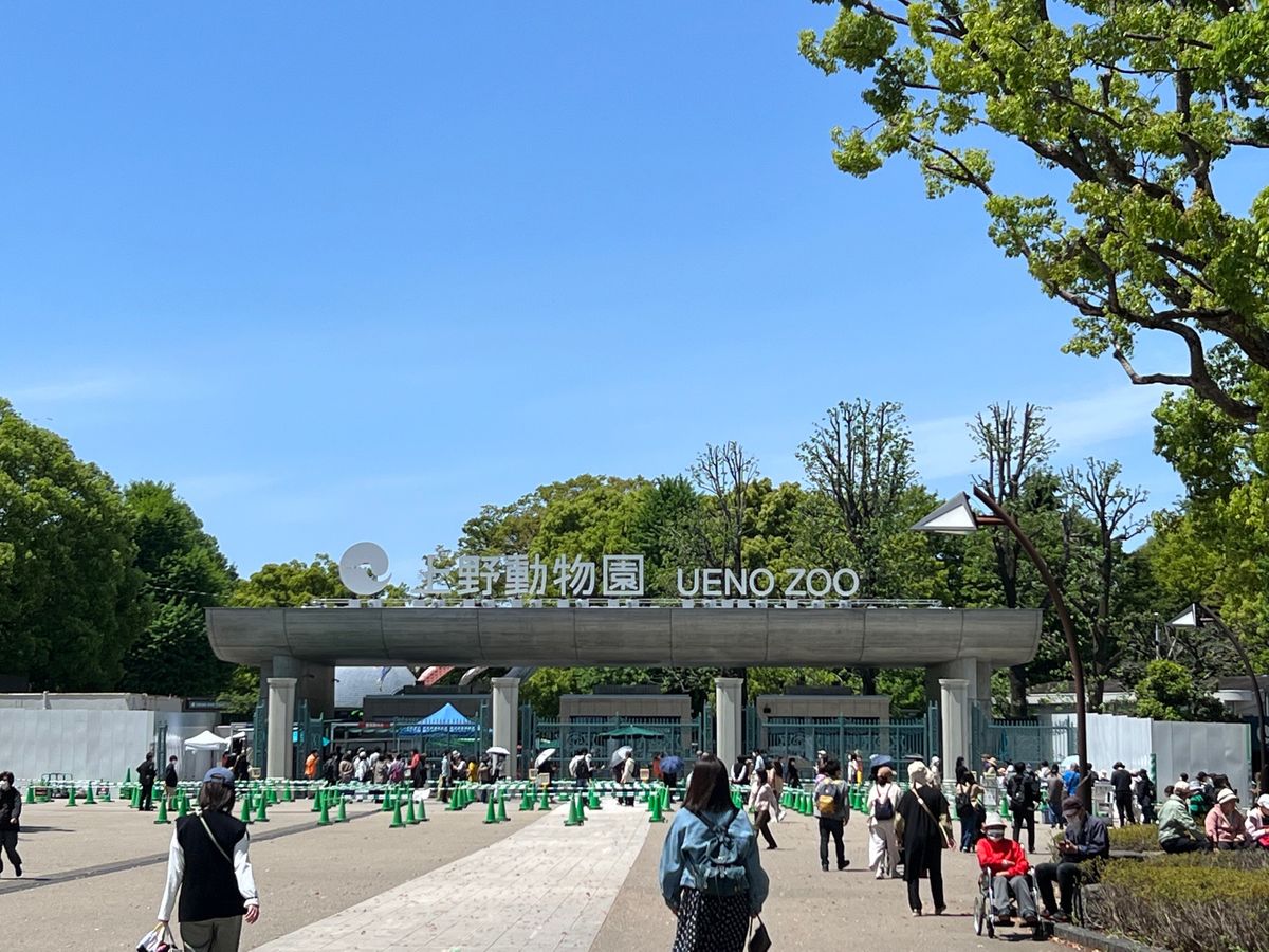 国立科学博物館

GWの東京の博物館なめてた😭
予約してないとチケット売り...