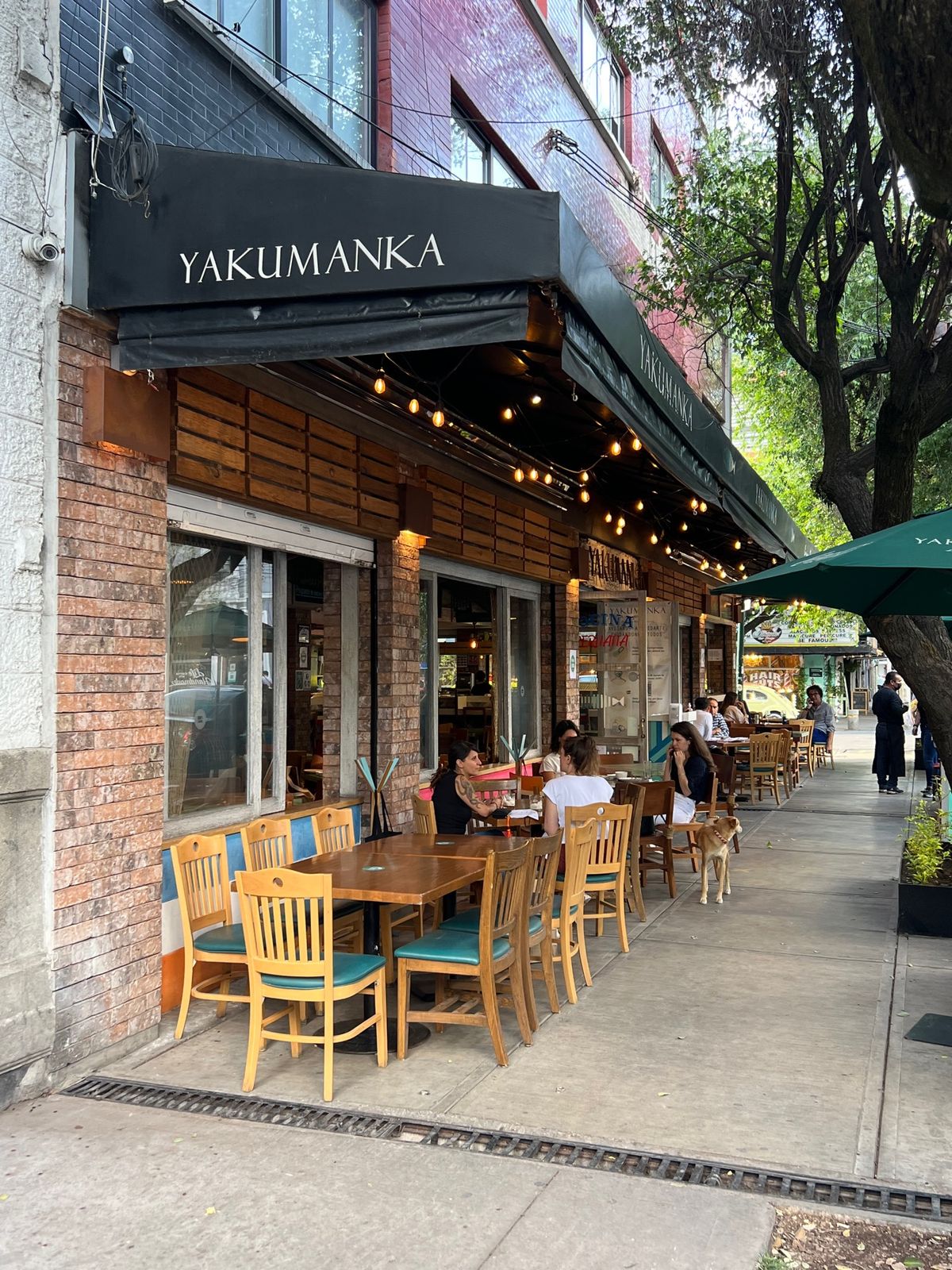 Yakumanka

オシャレで美味しいペルー料理屋さん😋
パエリアとセビ...