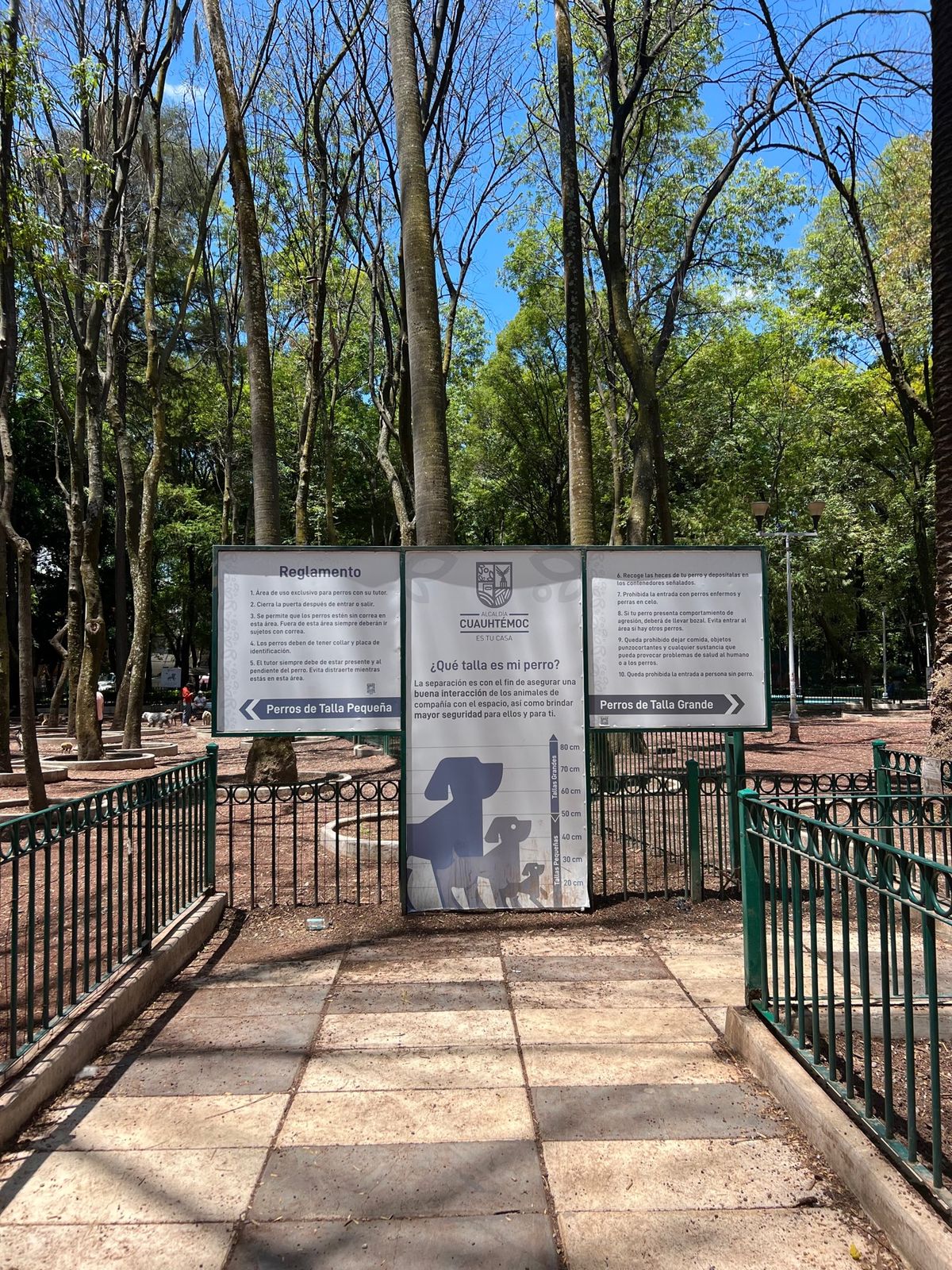 メキシコ公園には
かなり大きめのドッグランがあって
犬好きにはたまらない空...