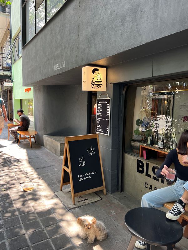 メキシコ・メキシコシティ「帰国後待機がなくなったのでついに海外旅行再開🙌」の写真：お店のロゴが好み💕
そしてリードも無いの...