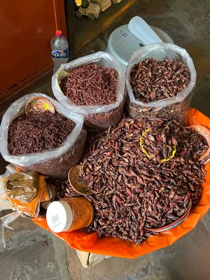 ベニートファレス市場

チャプリネス気に入ったので
色々試食させてもらいな...