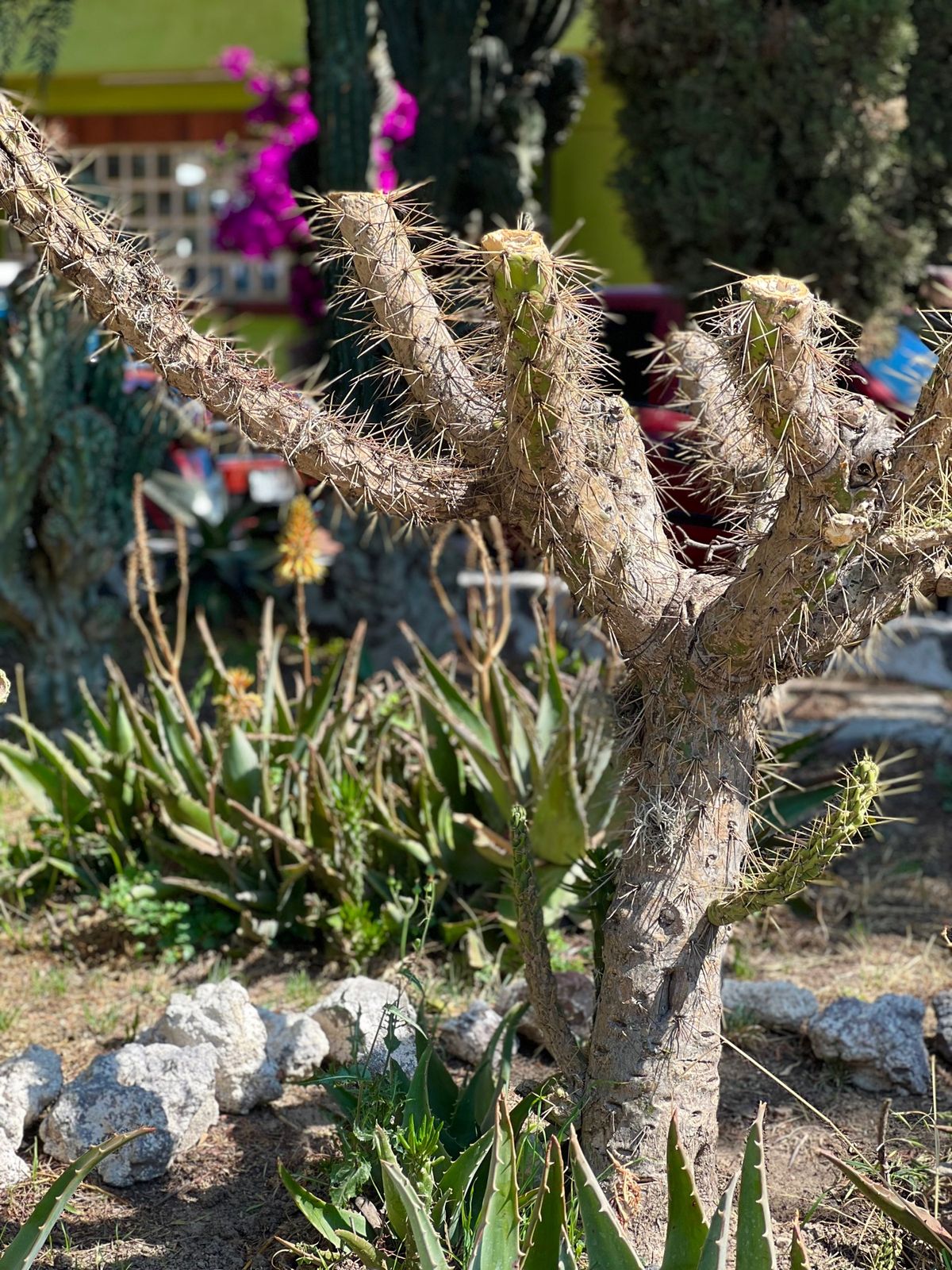 わけのわからないままお土産物売り場で放置プレイかまされてたけど
暇で暇で仕...