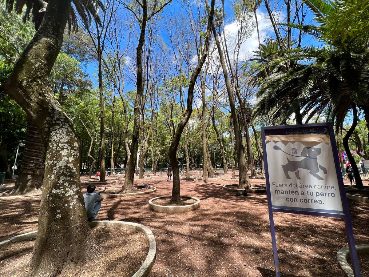 メキシコ公園には
かなり大きめのドッグランがあって
犬好きにはたまらない空...