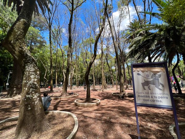 メキシコ・メキシコシティ「帰国後待機がなくなったのでついに海外旅行再開🙌」の写真：メキシコ公園には
かなり大きめのドッグラ...