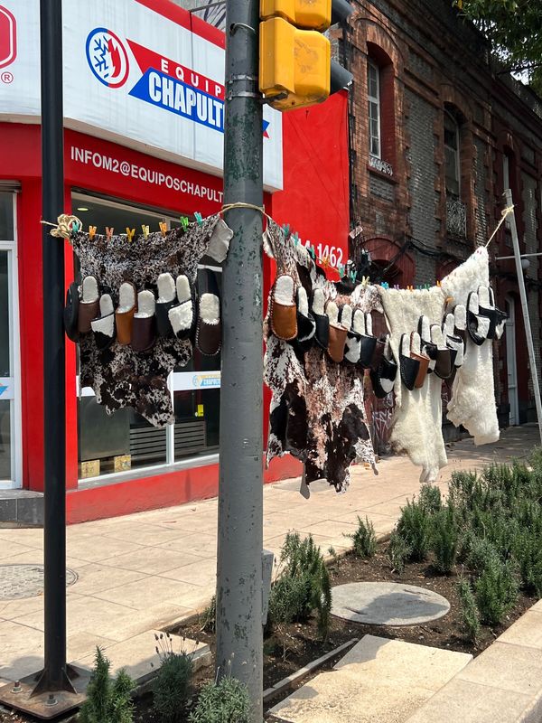 メキシコ・メキシコシティ「帰国後待機がなくなったのでついに海外旅行再開🙌」の写真：レザーが普通に路上に干してあるのが
メキ...
