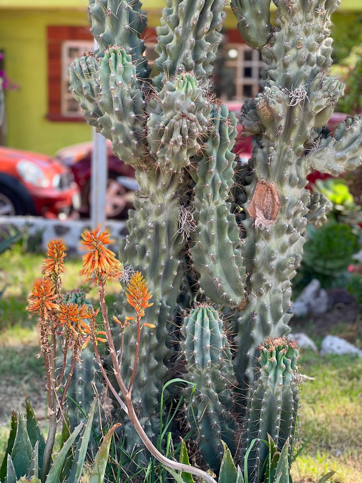 わけのわからないままお土産物売り場で放置プレイかまされてたけど
暇で暇で仕...