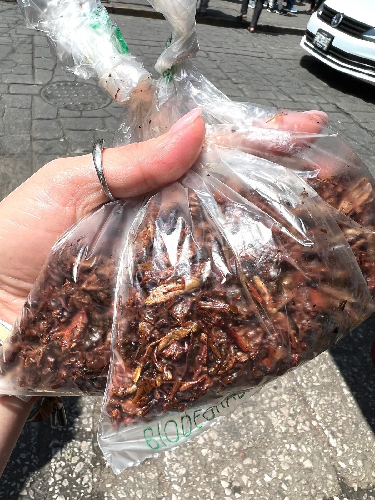 ベニートファレス市場

チャプリネス気に入ったので
色々試食させてもらいな...