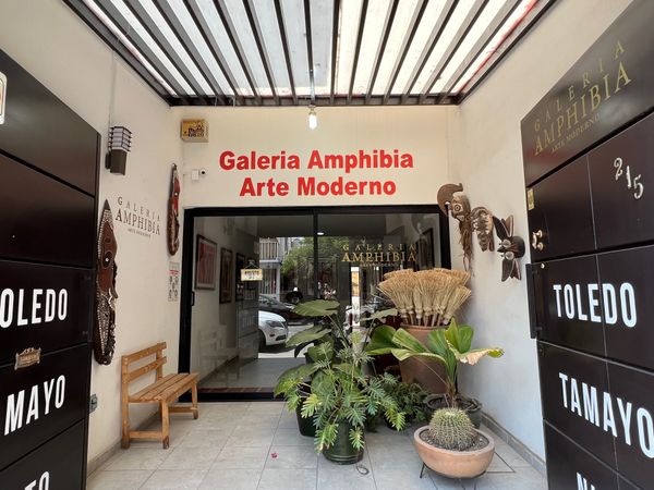 メキシコ・メキシコシティ「帰国後待機がなくなったのでついに海外旅行再開🙌」の写真：Galería Amphibia

この...