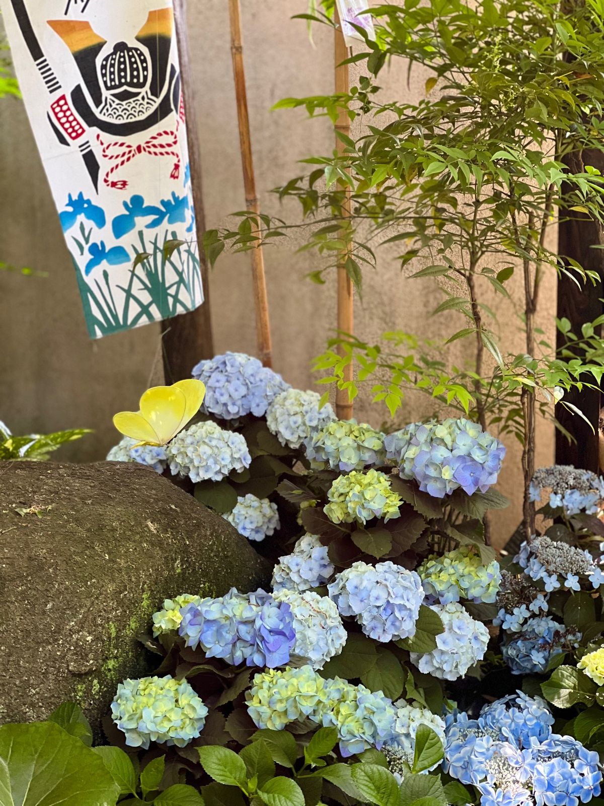 上野東照宮ぼたん苑

国立博物館も動物園も撃沈で失望してたら
ちょうど牡丹...