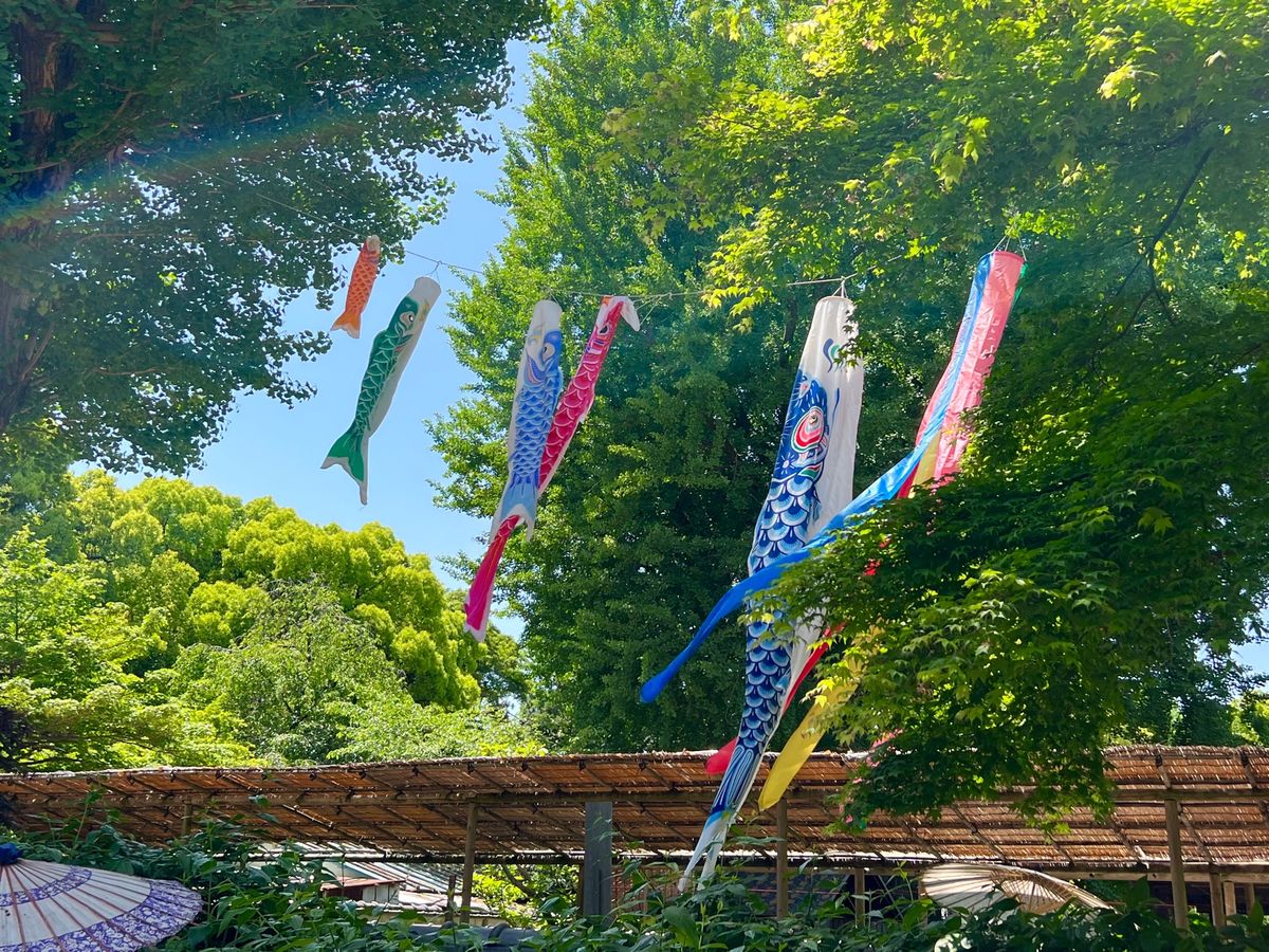 上野東照宮ぼたん苑

鯉のぼりが上がってるのをみて
あぁ！日本はこどもの日...
