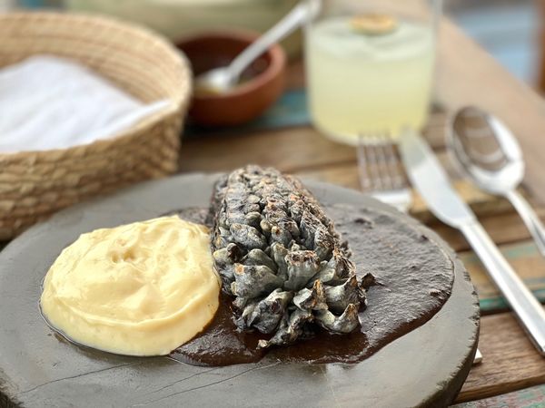 メキシコ・メキシコシティ「帰国後待機がなくなったのでついに海外旅行再開🙌」の写真：Pitiona

まずは黒穂病におかされ...