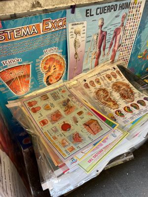 露店で解剖図がたくさん売ってて
思わず一瞬買いそうになった😂