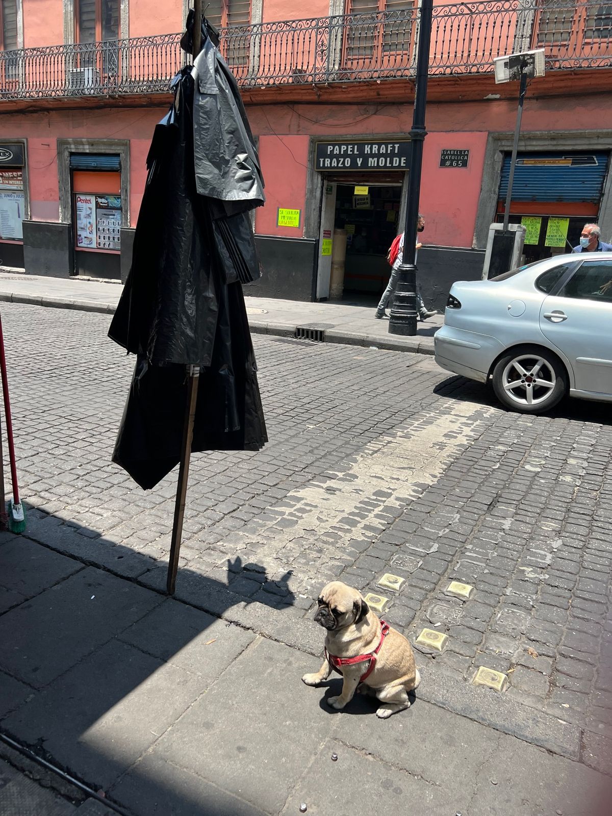 メキシコでは通りに車がガンガン通ってるのに
リード無しで犬の散歩させてる人...