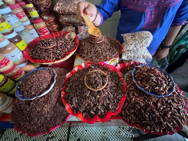 メキシコ・メキシコシティ「帰国後待機がなくなったのでついに海外旅行再開🙌」の写真：ベニートファレス市場

チャプリネス気に...