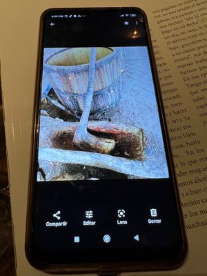 Los Amantes Mezcalería

一杯のつもりが
美味しくて...