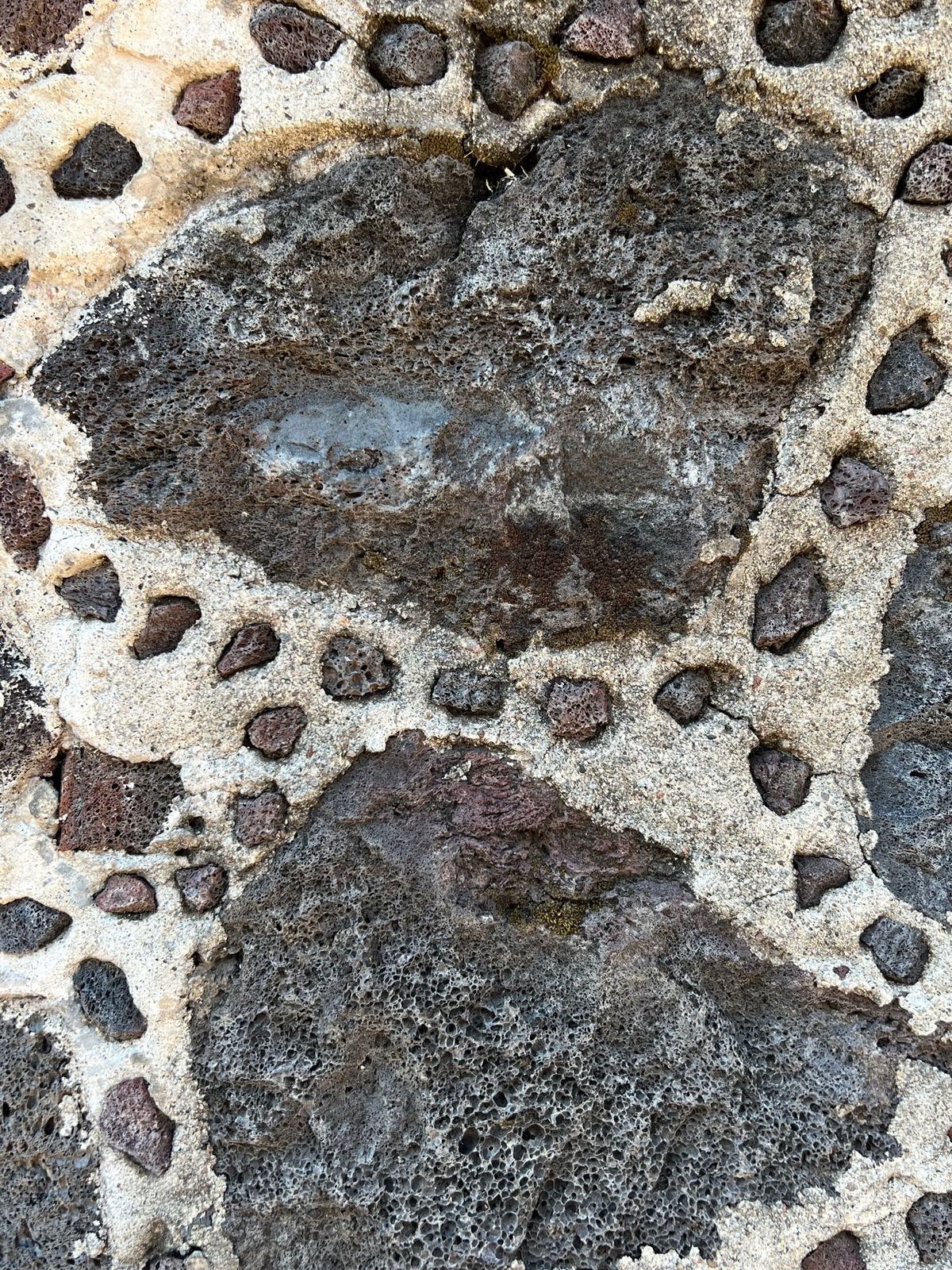 色んな不安があったけど無事遺跡に到着

まずは月の広場へ🚶‍♀️

この特...