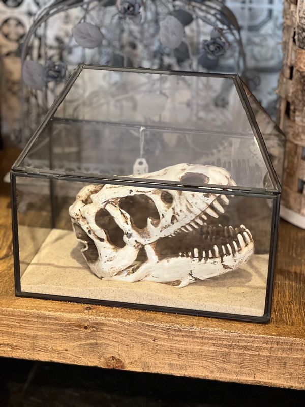 メキシコ・メキシコシティ「帰国後待機がなくなったのでついに海外旅行再開🙌」の写真：Casa Condesa

アンティーク...