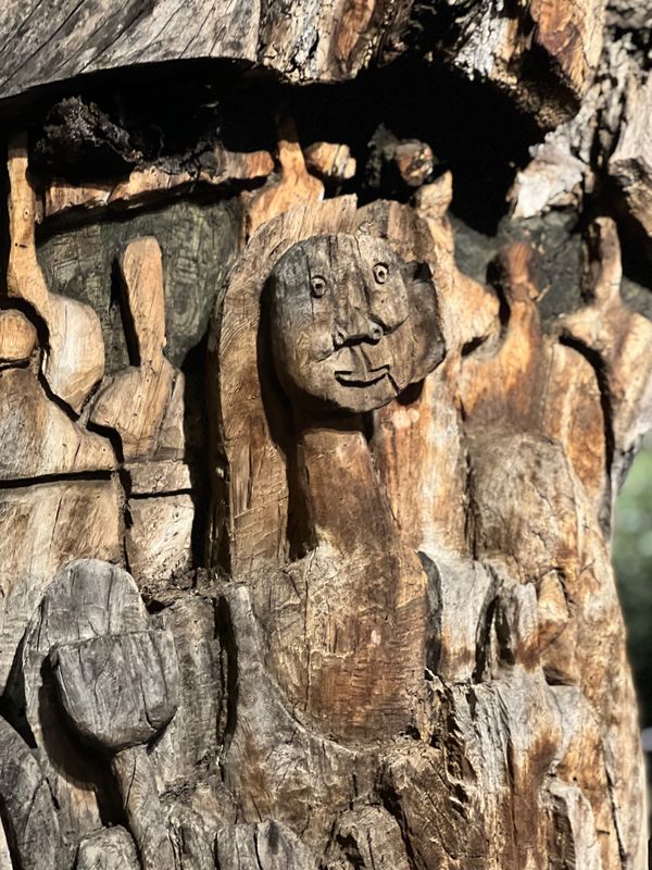 メキシコ・メキシコシティ「帰国後待機がなくなったのでついに海外旅行再開🙌」の写真：木に顔が彫ってある〜

そしてこの花みる...