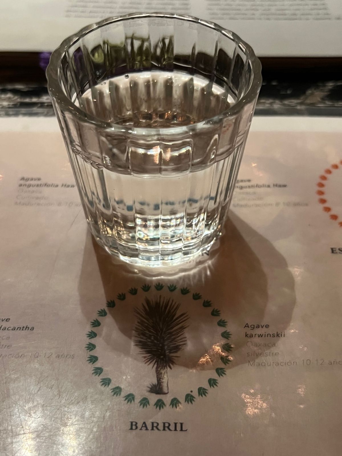 Los Amantes Mezcalería

一杯のつもりが
美味しくて...