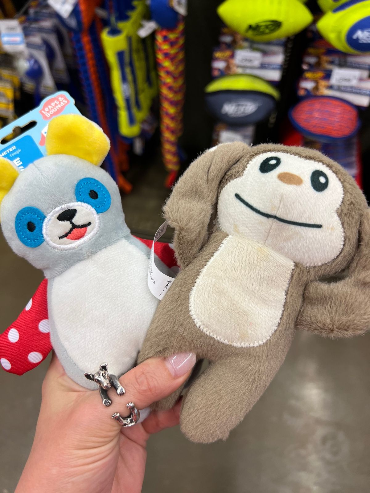 Petco Mixcoac

家の近くのスーパーに入ってるペットショップで...