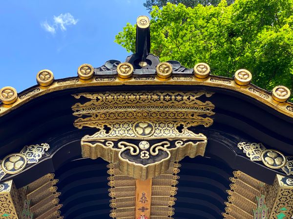 日本・日光「奥日光-The Peaksチャレンジ-」の写真