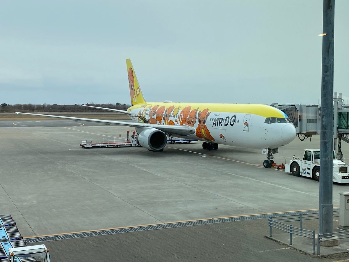函館空港！

ロコンの飛行機乗った！