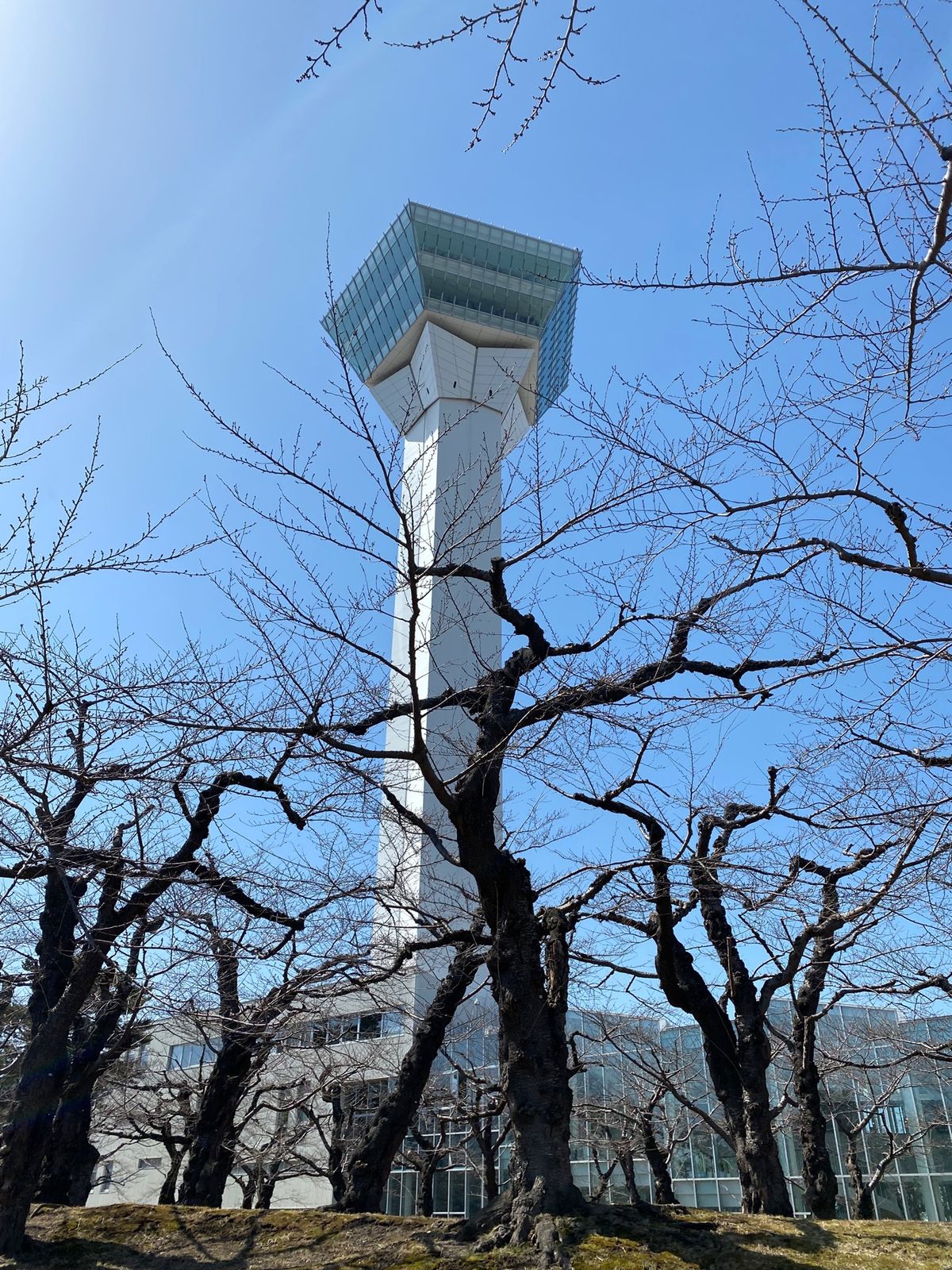 五稜郭タワー！
とタワーから見た五稜郭！

五稜郭はやっぱりあの形をしていた！