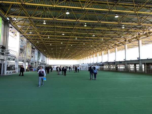 香港・香港「香港澳門競馬旅」の写真：シャティン競馬場は例年に比べるとかなり寂...