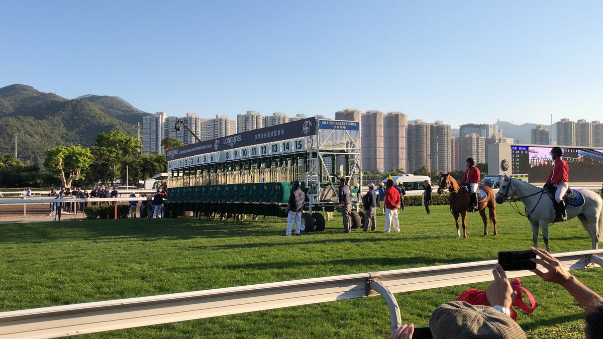 シャティン競馬場は例年に比べるとかなり寂しい観客席。コロナの影響が出始めて...