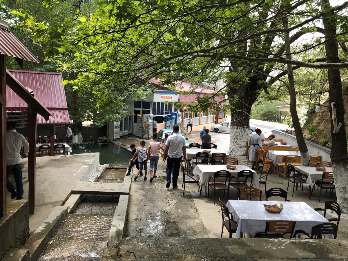 近郊のシャフリサブス見学。オアシスの町だったようだが都市化により遺跡は公園...