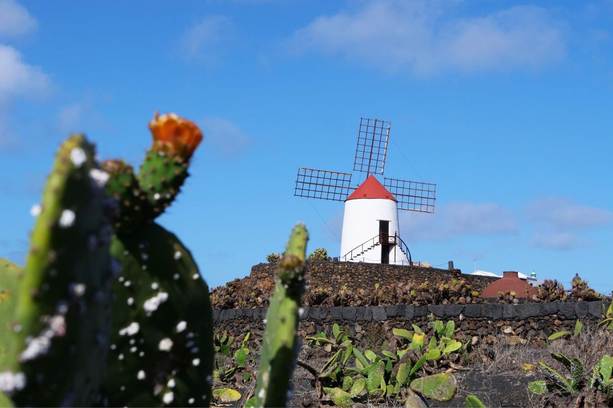 洞窟のコンサートホール