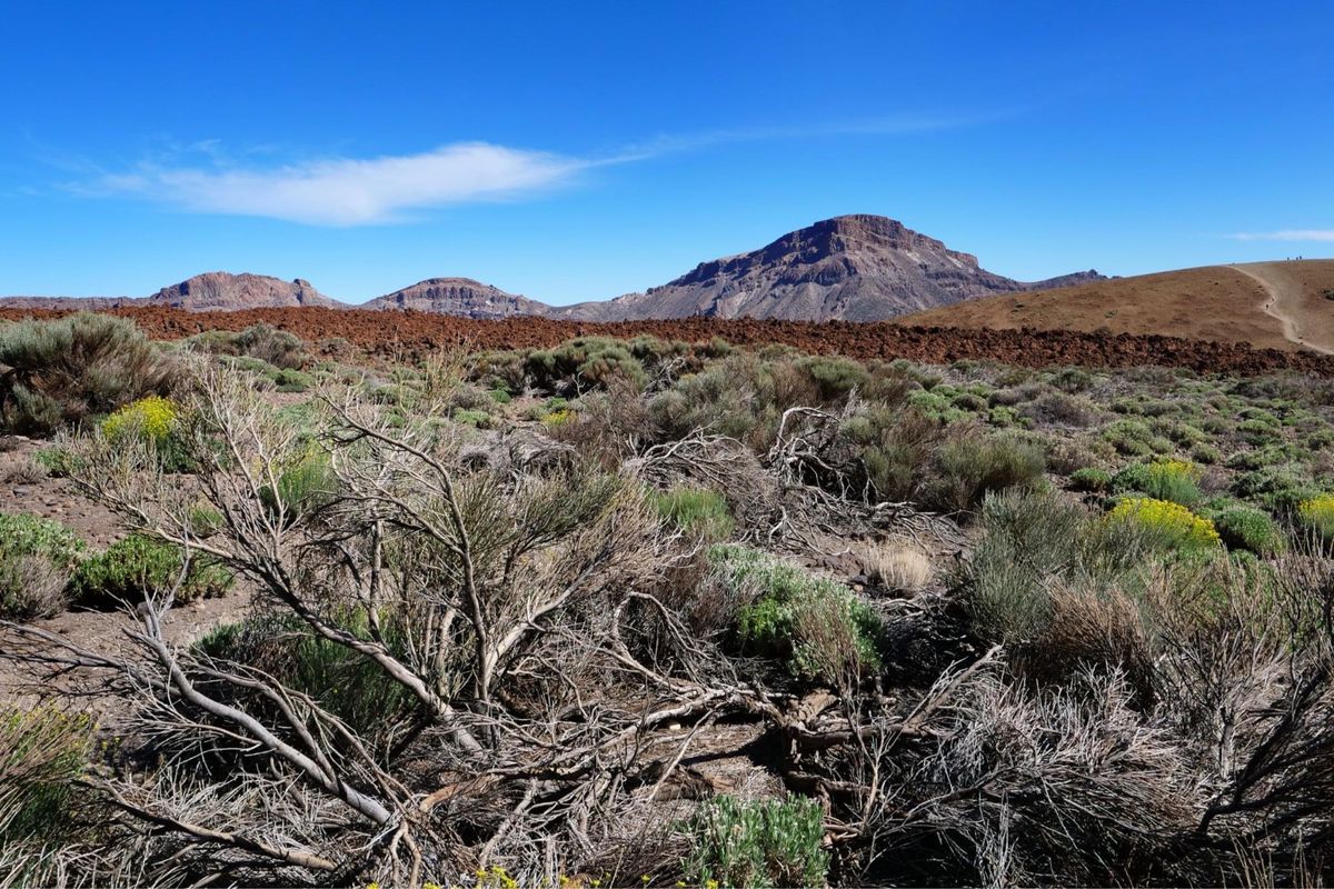 テイデ国立公園