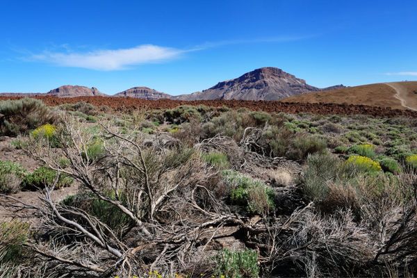 アンドラ「地中海沿岸とカナリア諸島の旅」の写真：テイデ国立公園