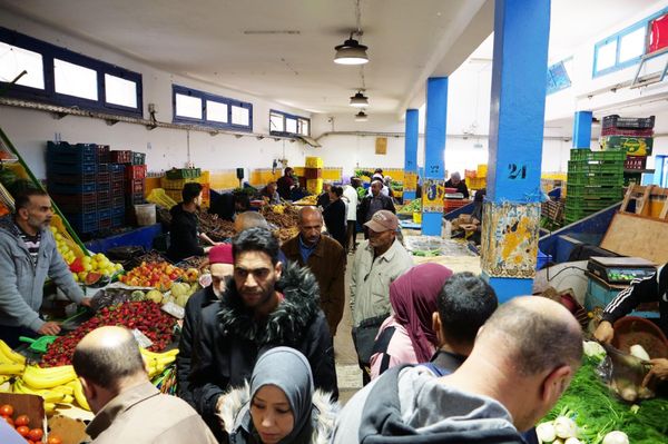 アンドラ「地中海沿岸とカナリア諸島の旅」の写真：魚市場など